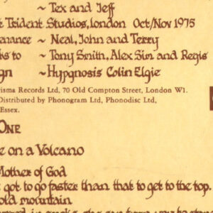Genesis, A Trick Of The Tail - LP: imagen 9