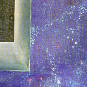 Vinilo: Walkers, Pregnancy - LP