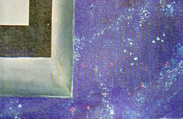 Vinilo: Walkers, Pregnancy - LP