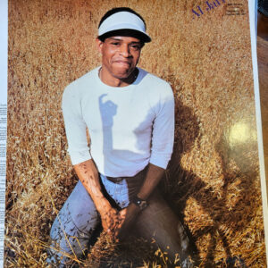 Al Jarreau, Glow - LP Album Stereo: imagen 2