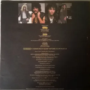 Nugent, Nugent - LP Album Stereo: imagen 6