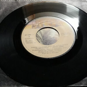 Irene Cara, Flashdance... What A Feeling - Singles: imagen 5
