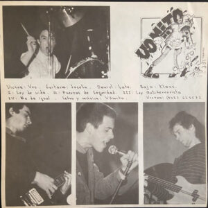Various, Skalherria Punk - LP: imagen 7