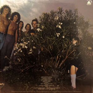 Mr Big, Photographic Smile - LP: imagen 2