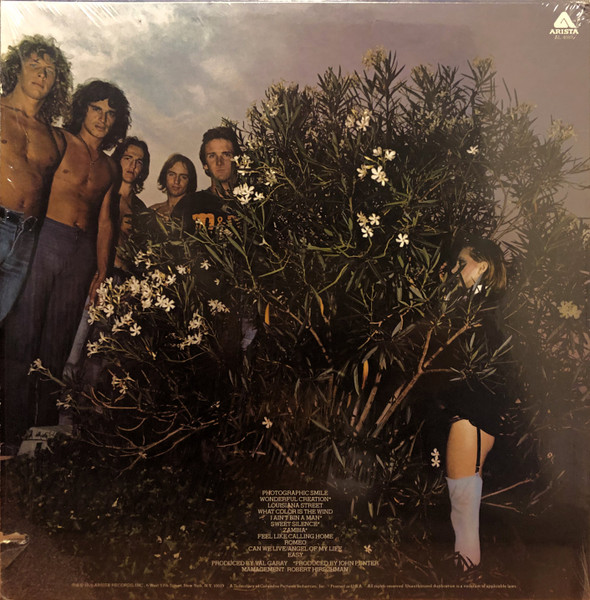 Mr Big, Photographic Smile - LP