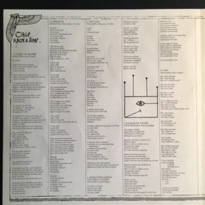 Toyah, Anthem - LP Album Stereo: imagen 6