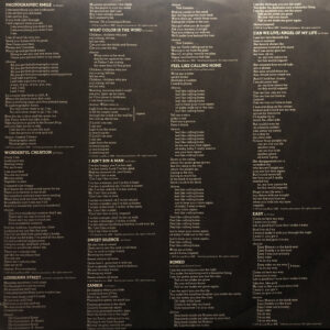 Mr Big, Photographic Smile - LP: imagen 6