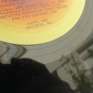 The Floaters, The Floaters - LP: imagen 8