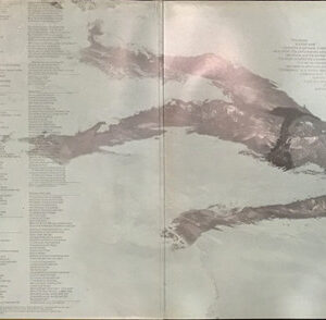 Joni Mitchell, The Hissing Of Summer Lawns - LP: imagen 2