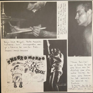 Various, Skalherria Punk - LP: imagen 8