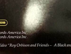 Roy Orbison, Mystery Girl - LP: imagen 10