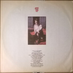 Steve Winwood, Roll With It - LP: imagen 6