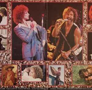 Barbra Streisand, Kris Kristofferson, A Star Is Born - LP: imagen 2