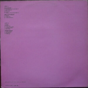 Various, Skalherria Punk - LP: imagen 2