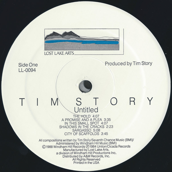 Tim Story, Untitled - LP