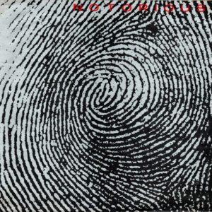 Duran Duran, Notorious - LP: imagen 5