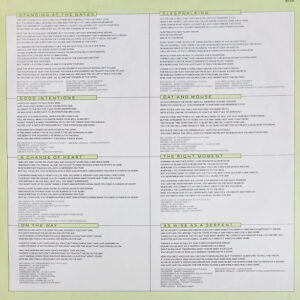 Gerry Rafferty, Sleepwalking - LP: imagen 6