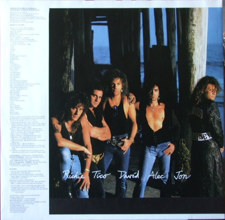 Bon Jovi, New Jersey - LP