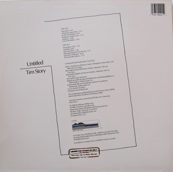 Tim Story, Untitled - LP