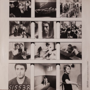 Roger Daltrey, McVicar (Original Soundtrack Recording) - LP: imagen 6