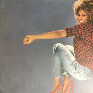 Tina Turner, Private Dancer - LP: imagen 3