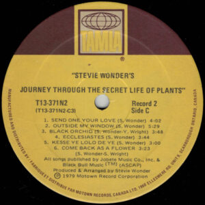 Stevie Wonder, Journey Through The Secret Life Of Plants - LP: imagen 5