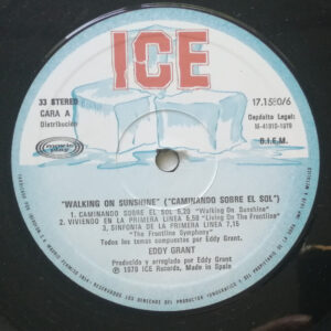 Eddy Grant, Walking On Sunshine = Caminando Sobre El Sol - LP: imagen 3