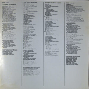 Dan Fogelberg, The Innocent Age - LP: imagen 13