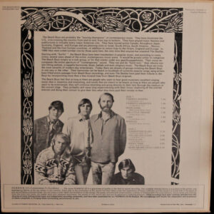 The Beach Boys, The Beach Boys - LP: imagen 2