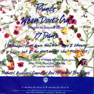 Prince, When Doves Cry - Singles: imagen 2