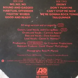 Nugent, Nugent - LP Album Stereo: imagen 7