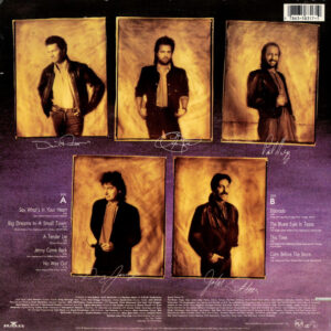 Restless Heart, Big Dreams In A Small Town - LP: imagen 2