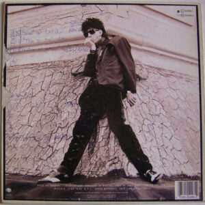 Ric Ocasek, This Side Of Paradise - LP: imagen 2