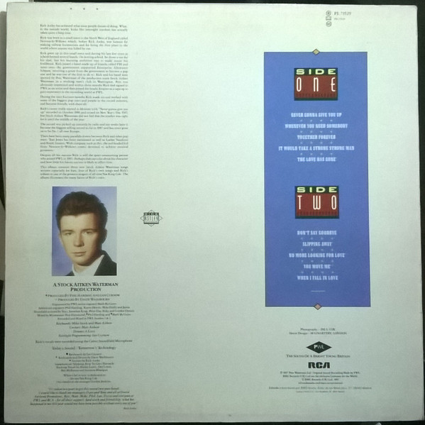 Rick Astley, Whenever You Need Somebody - LP