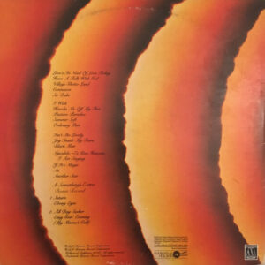 Stevie Wonder, Songs In The Key Of Life - LP: imagen 2