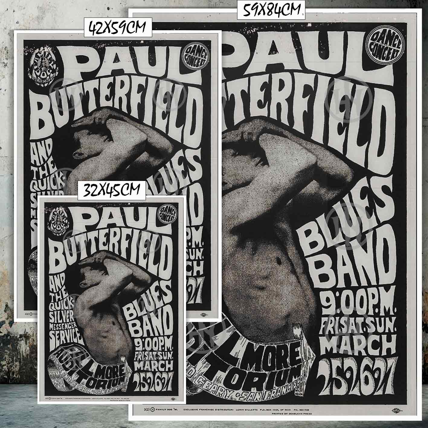Paul butterfield Póster: imagen 2