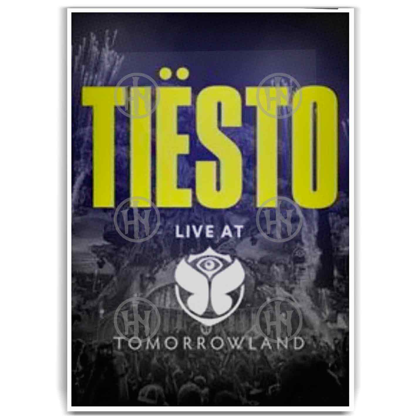 Tiësto Póster: imagen 1