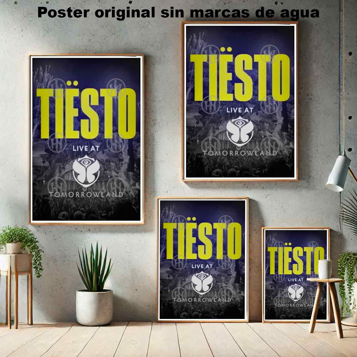 Tiësto Póster: imagen 5