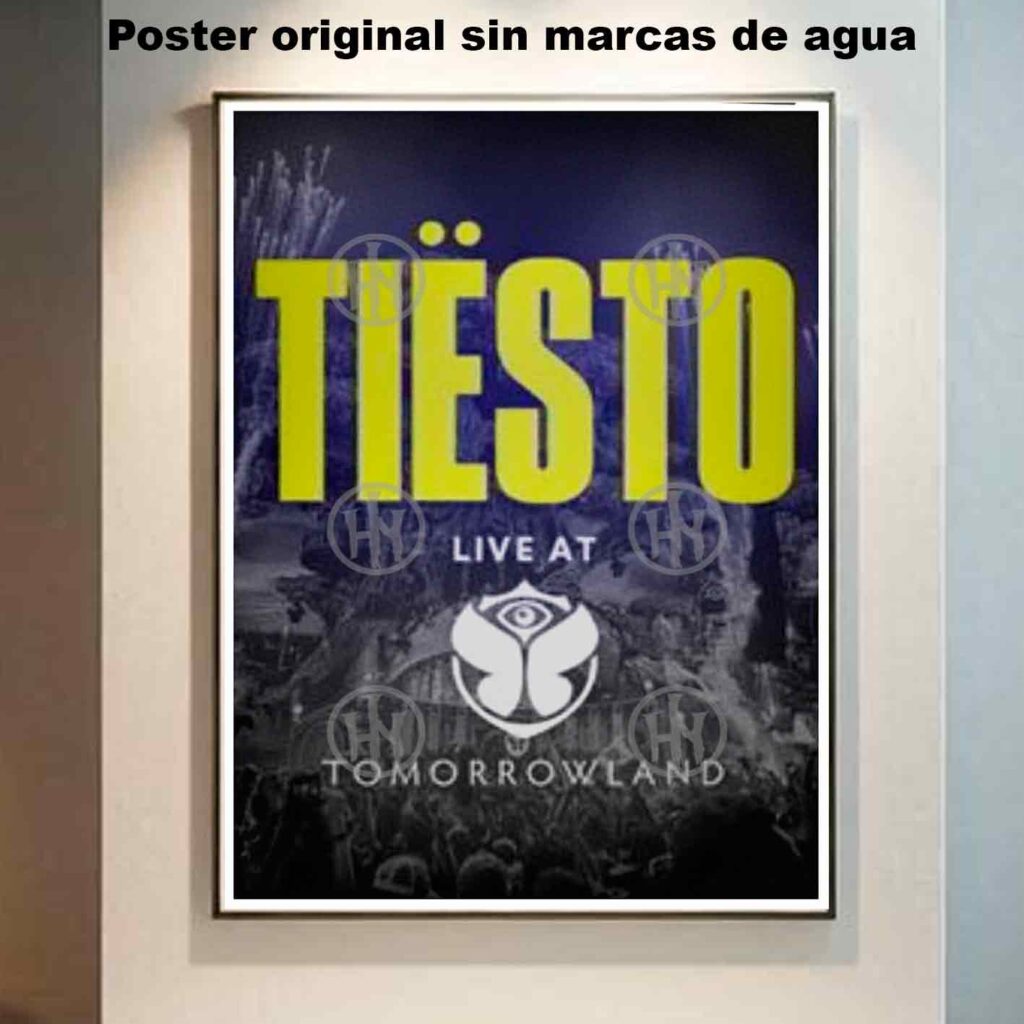 Tiësto Póster