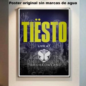 Tiësto Póster: imagen 6