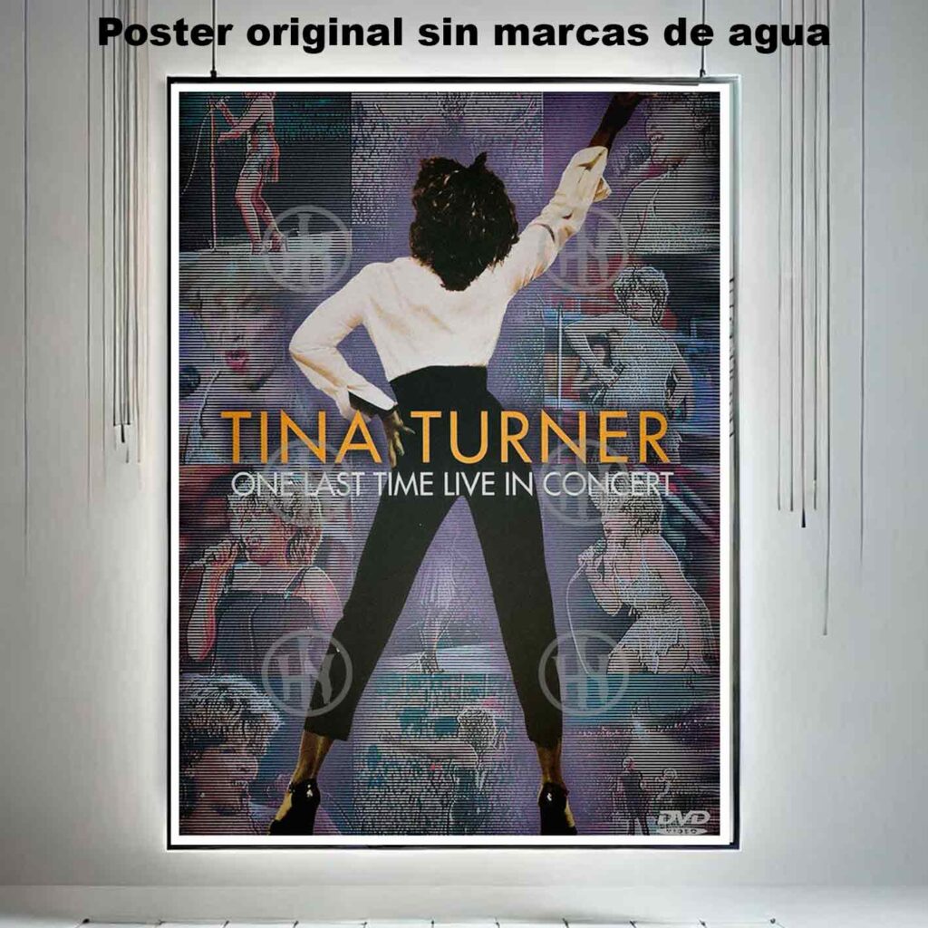 Tina Turner Póster