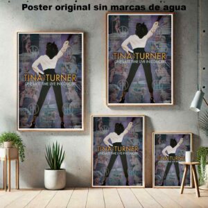 Tina Turner Póster: imagen 5