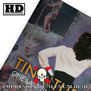 Tina Turner Póster: imagen 7