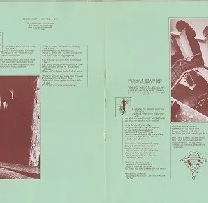 The Alan Parsons Project, Tales Of Mystery And Imagination - LP: imagen 7