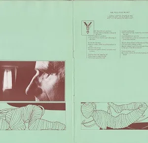 The Alan Parsons Project, Tales Of Mystery And Imagination - LP: imagen 6