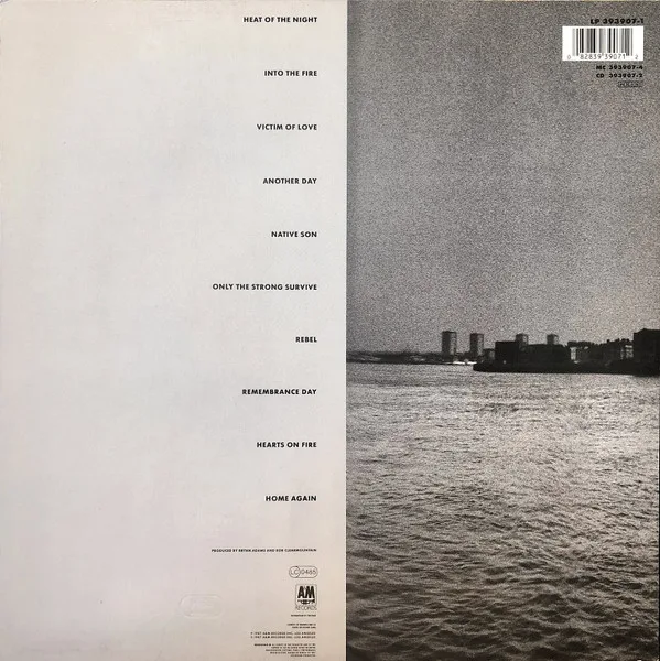 Bryan Adams, Into The Fire - LP