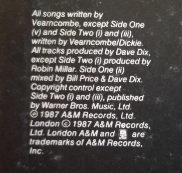 Black, Wonderful Life - LP