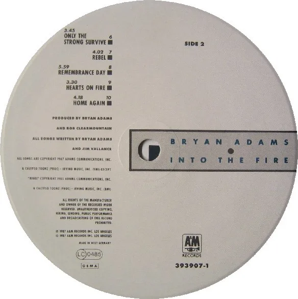 Bryan Adams, Into The Fire - LP