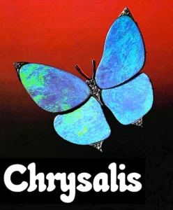 Logo de Chrysalis
