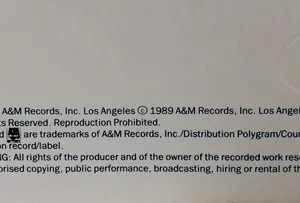Joe Jackson, Blaze Of Glory - LP: imagen 11